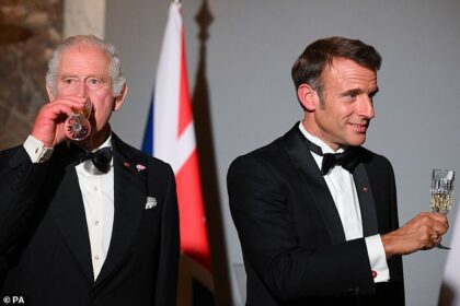 Macron Toasts Charles Amid Hope of French-British Cooperation Post-Brexit